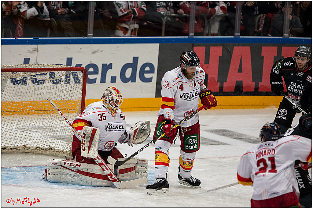 Koelner Haie - Duesseldorfer EG, 18.12.2016